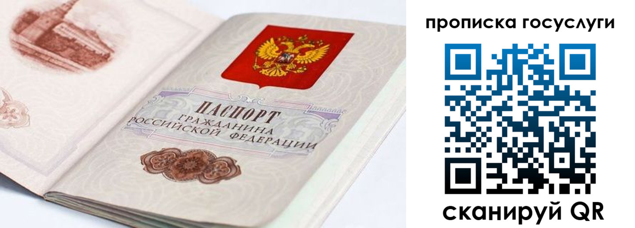 прописка регистрация в Вологде